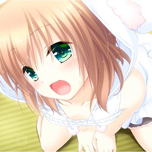 舒克