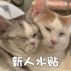 1779019649679.gif